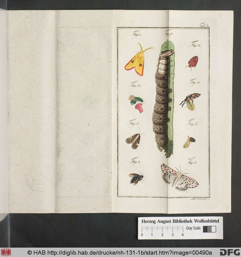http://diglib.hab.de/drucke/nh-131-1b/00490a.jpg