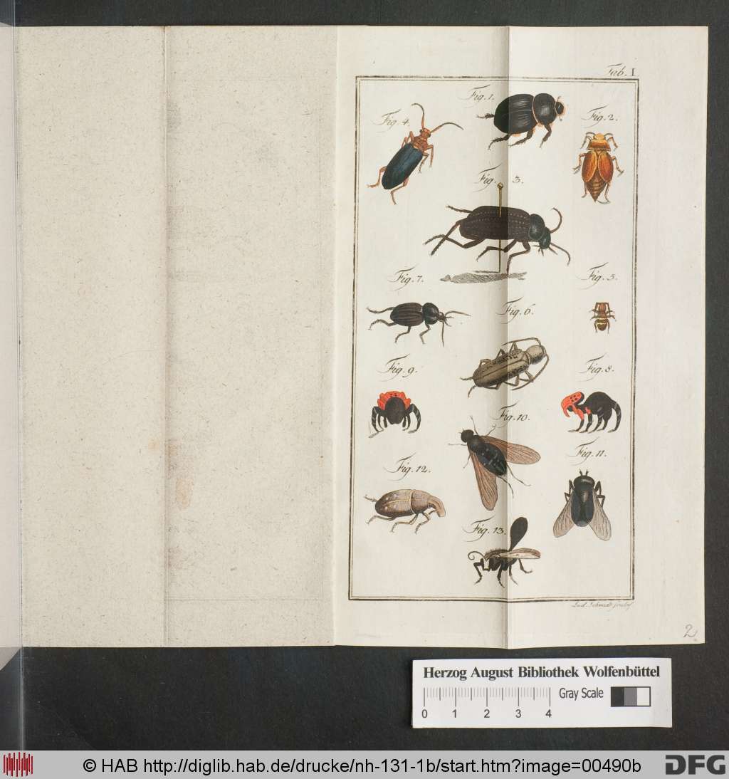 http://diglib.hab.de/drucke/nh-131-1b/00490b.jpg