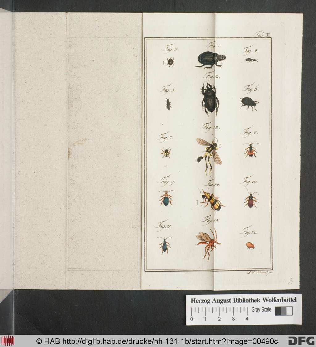 http://diglib.hab.de/drucke/nh-131-1b/00490c.jpg