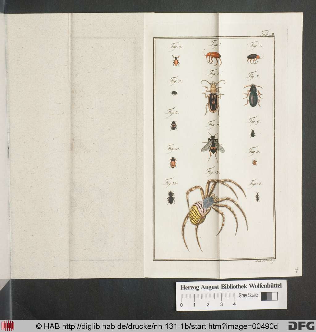 http://diglib.hab.de/drucke/nh-131-1b/00490d.jpg