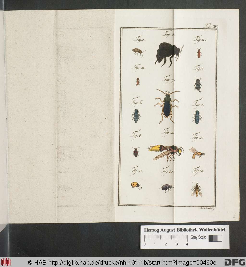 http://diglib.hab.de/drucke/nh-131-1b/00490e.jpg