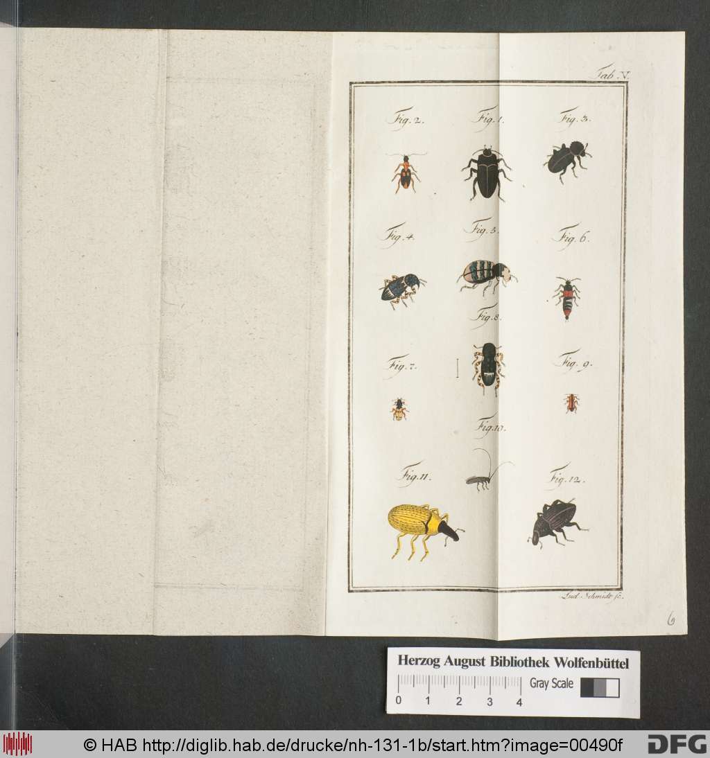 http://diglib.hab.de/drucke/nh-131-1b/00490f.jpg