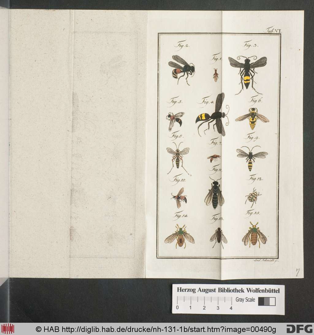 http://diglib.hab.de/drucke/nh-131-1b/00490g.jpg