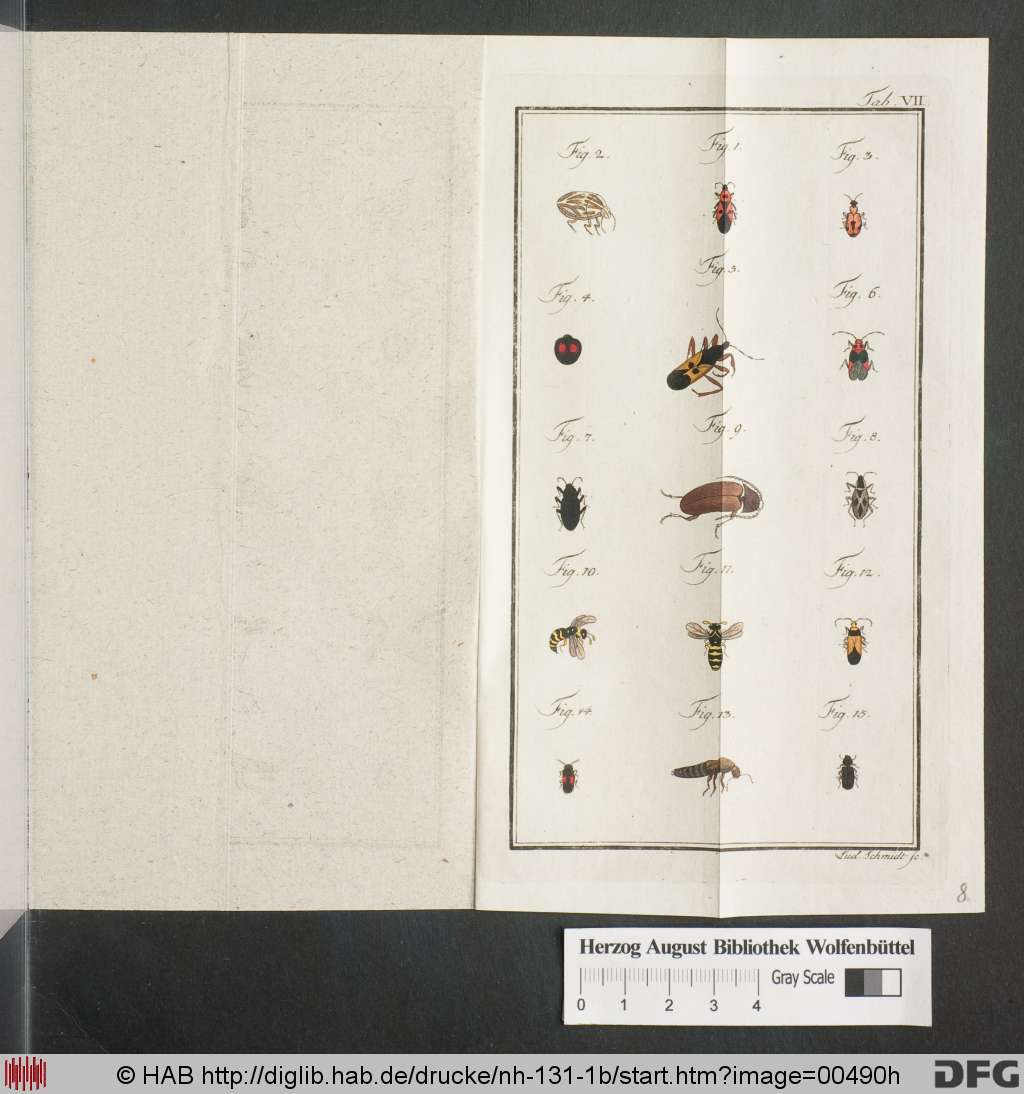 http://diglib.hab.de/drucke/nh-131-1b/00490h.jpg