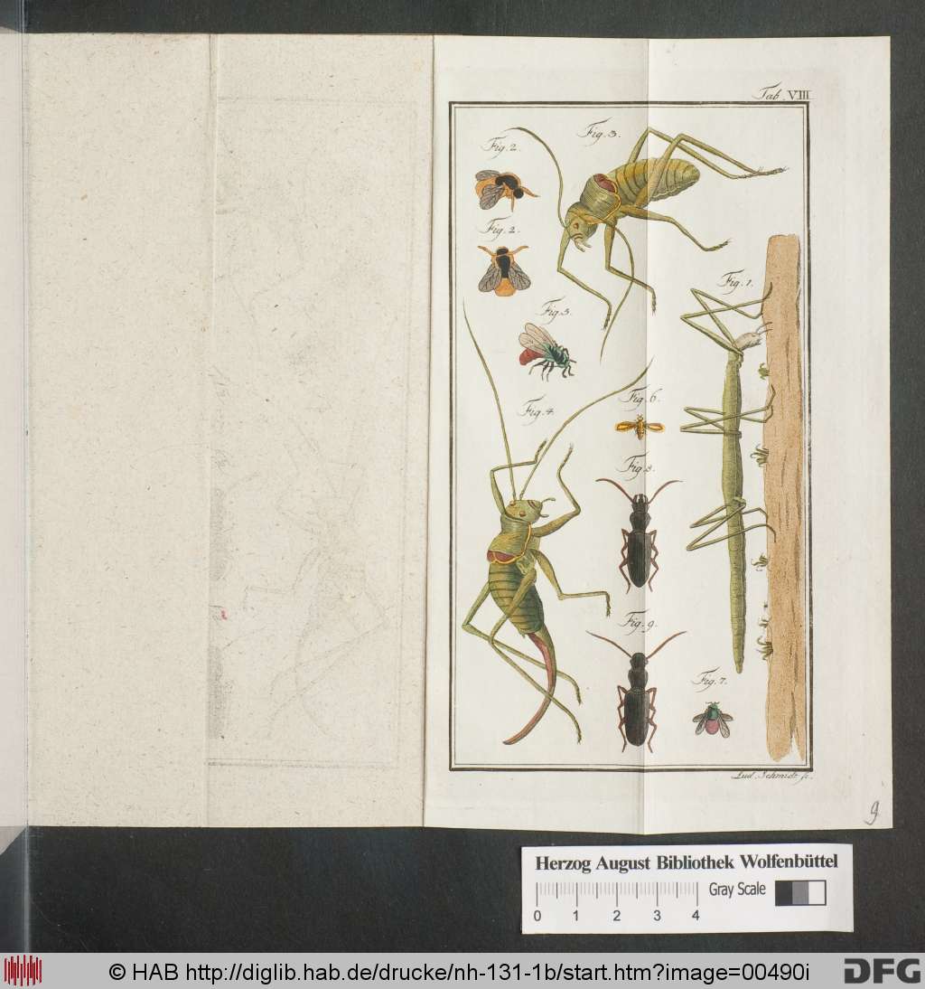 http://diglib.hab.de/drucke/nh-131-1b/00490i.jpg