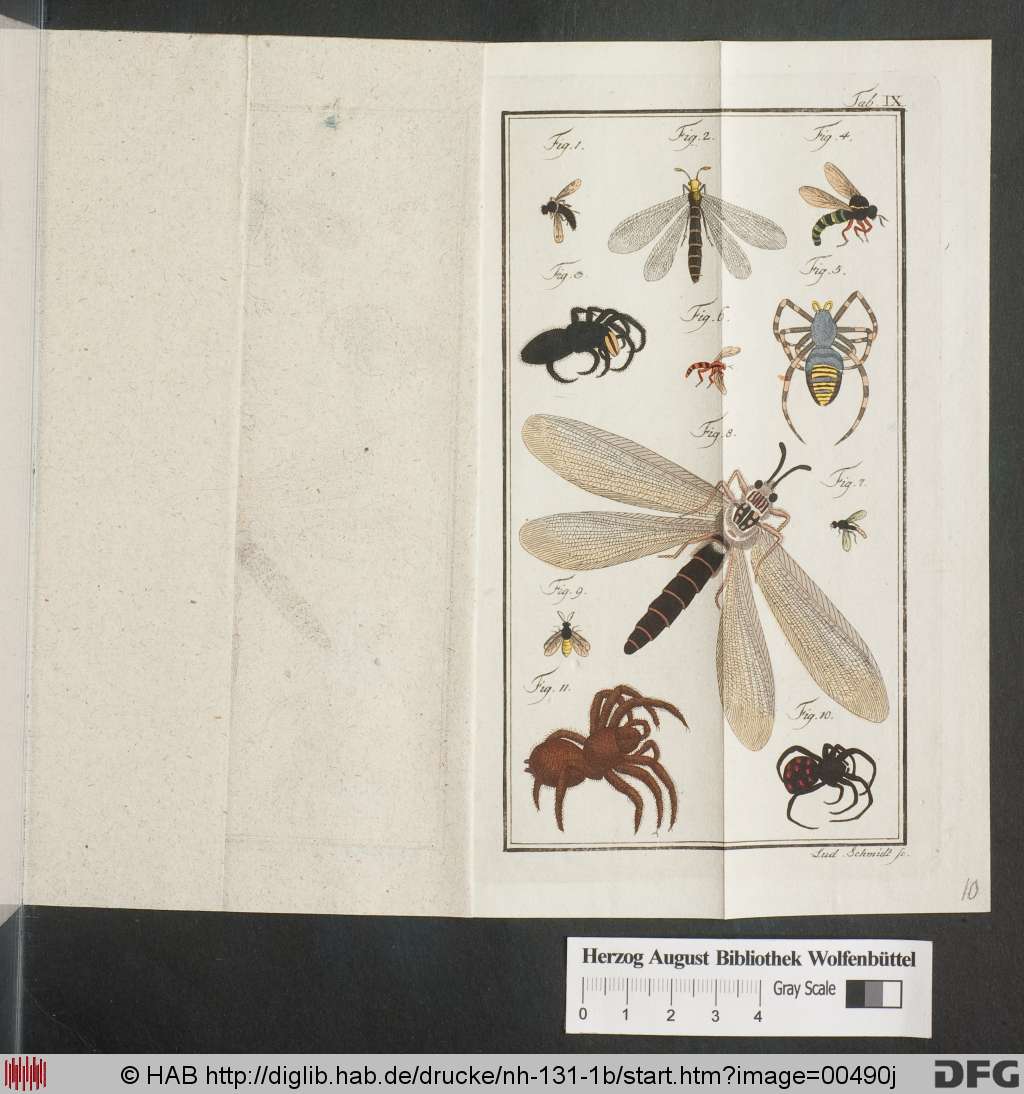 http://diglib.hab.de/drucke/nh-131-1b/00490j.jpg