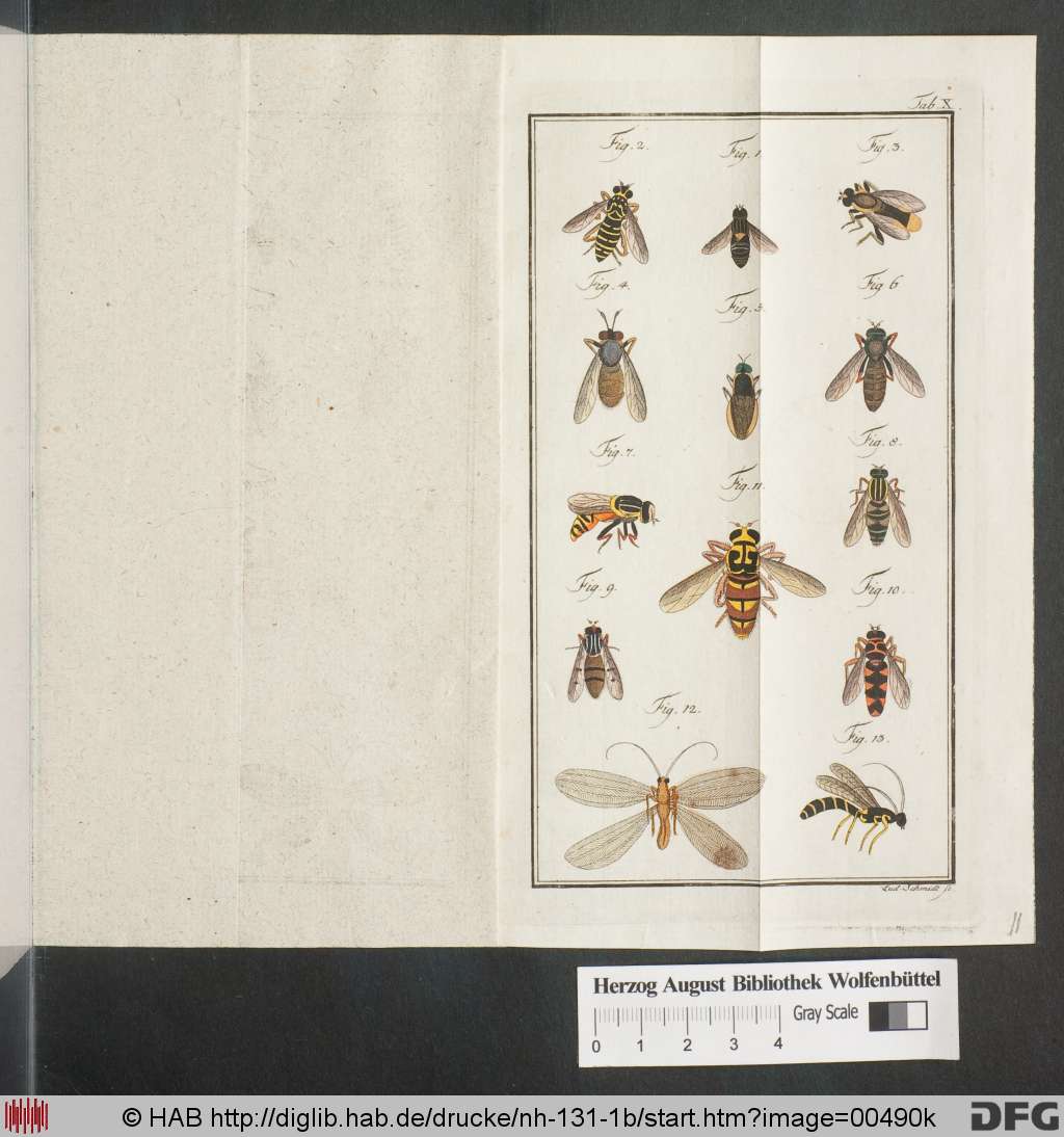 http://diglib.hab.de/drucke/nh-131-1b/00490k.jpg