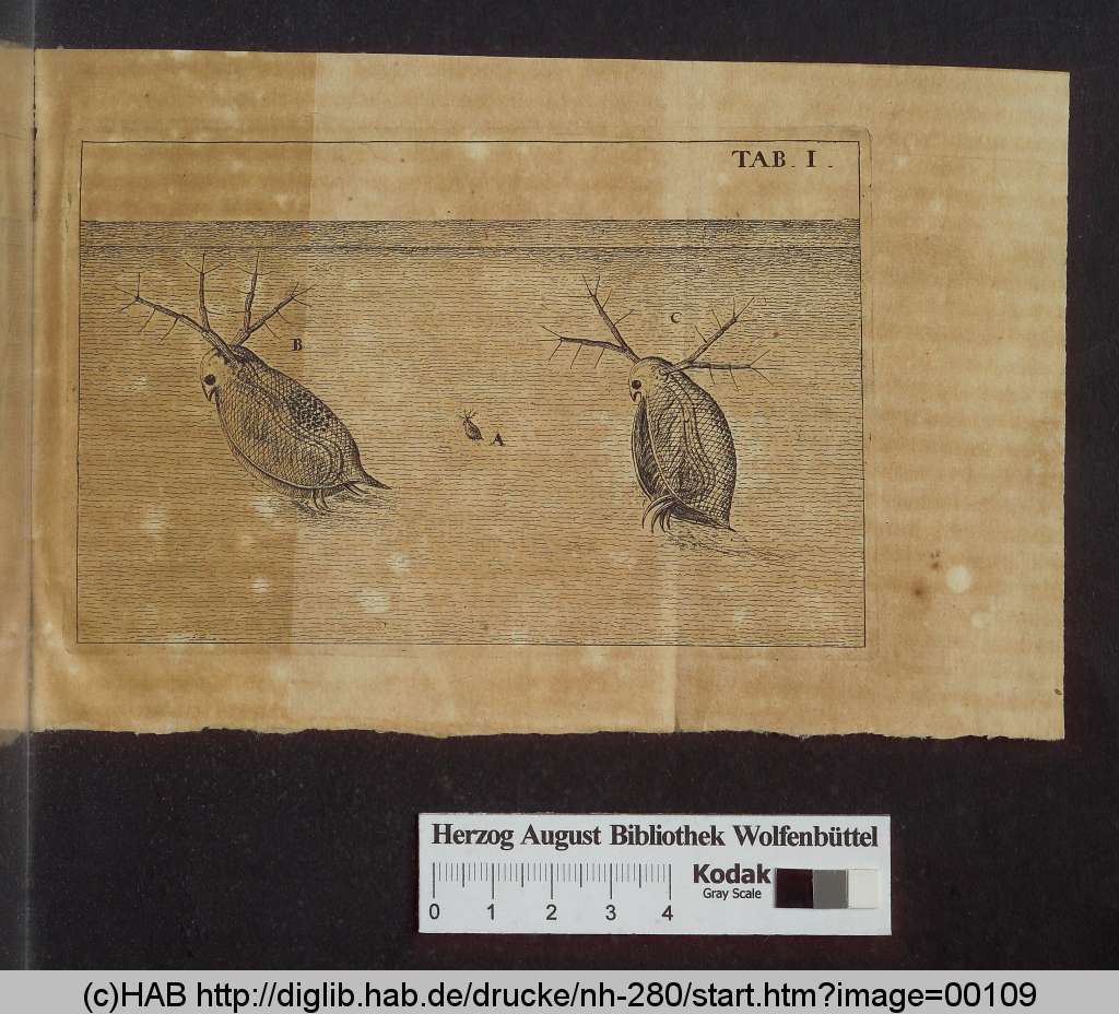 http://diglib.hab.de/drucke/nh-280/00109.jpg