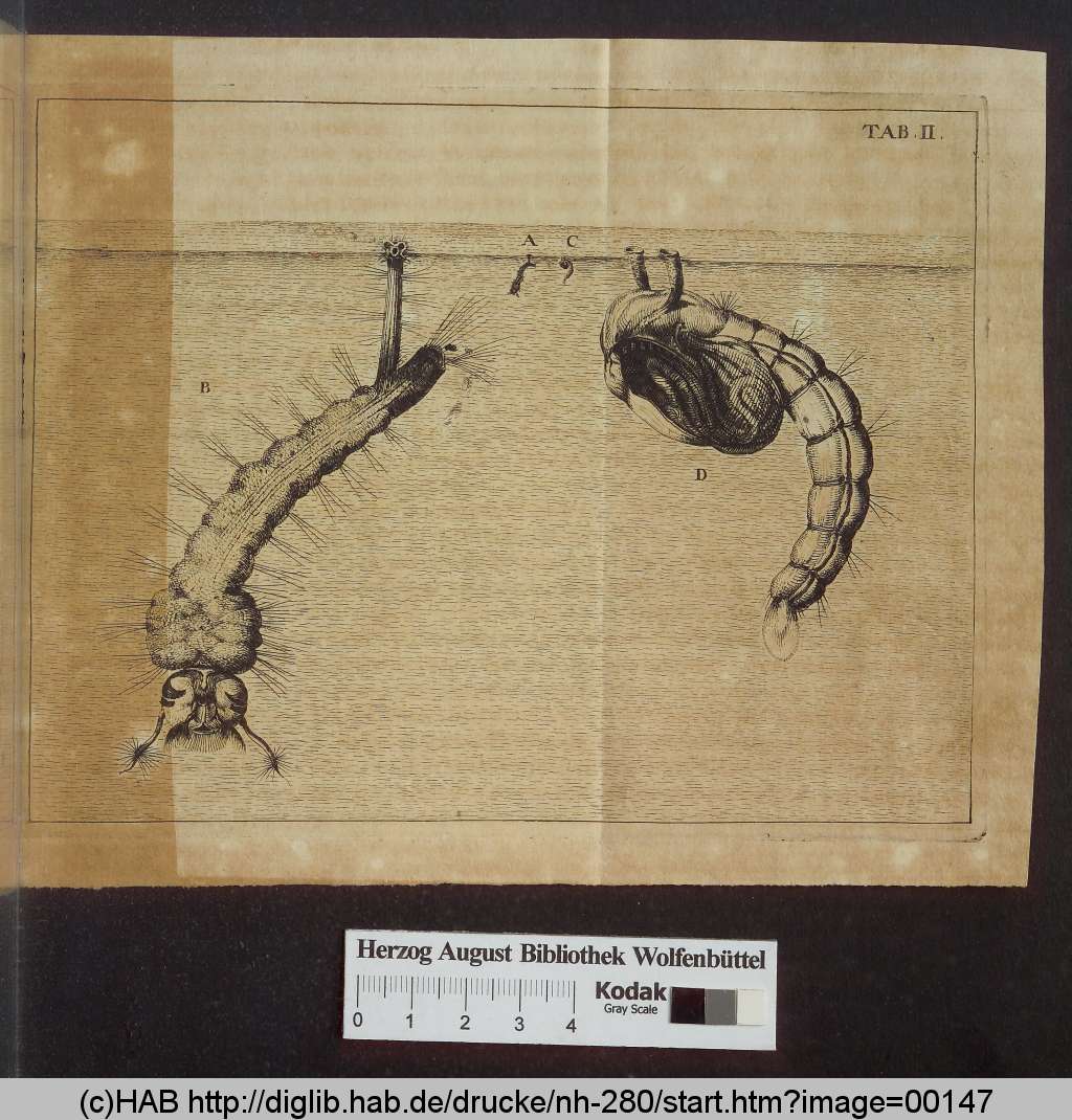 http://diglib.hab.de/drucke/nh-280/00147.jpg