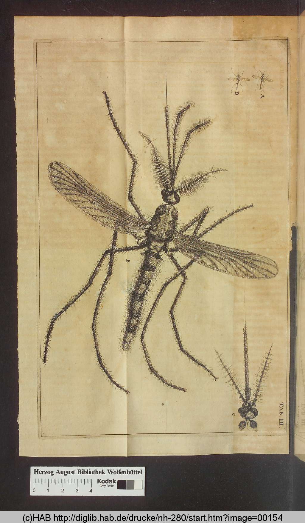 http://diglib.hab.de/drucke/nh-280/00154.jpg