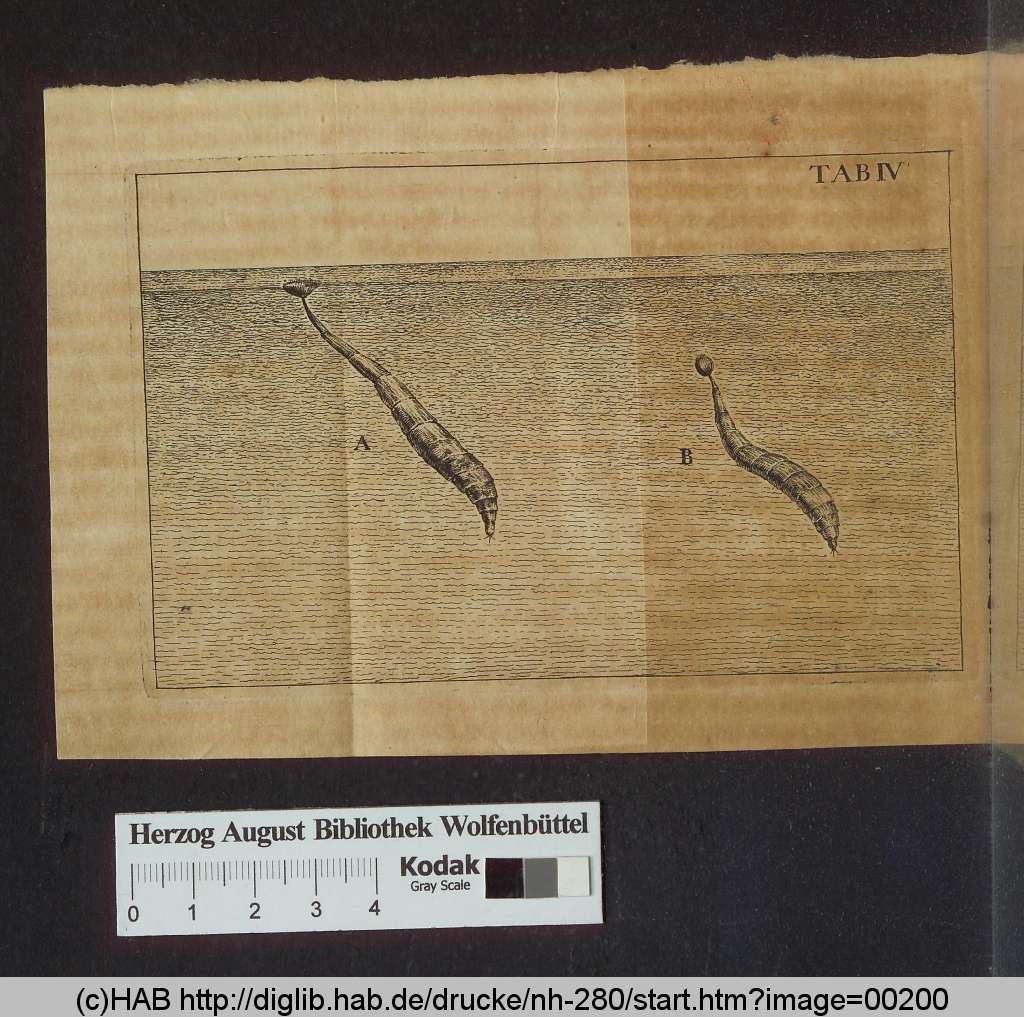 http://diglib.hab.de/drucke/nh-280/00200.jpg