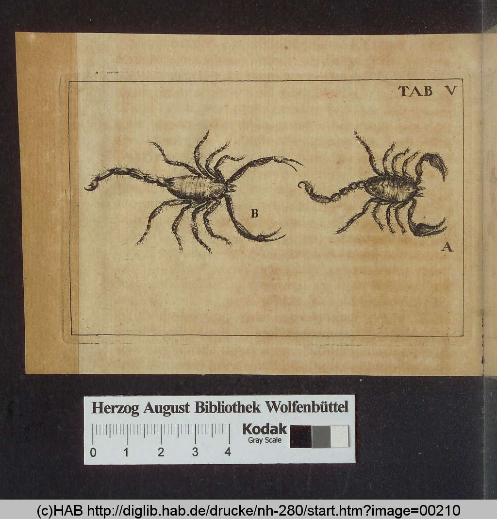 http://diglib.hab.de/drucke/nh-280/00210.jpg