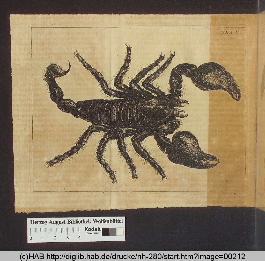 http://diglib.hab.de/drucke/nh-280/00212.jpg