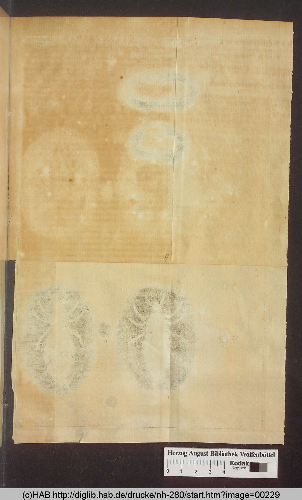 http://diglib.hab.de/drucke/nh-280/00229.jpg