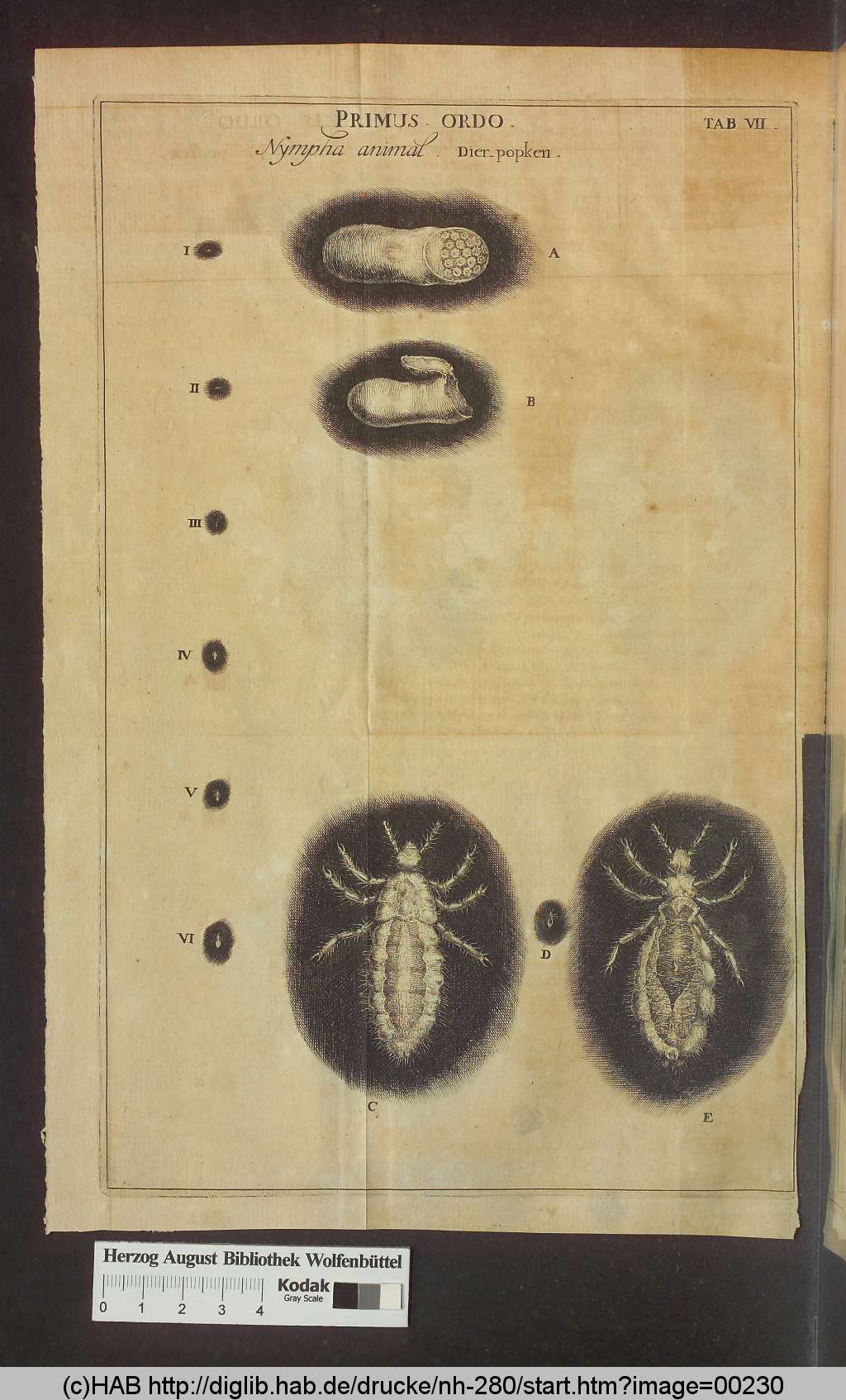 http://diglib.hab.de/drucke/nh-280/00230.jpg