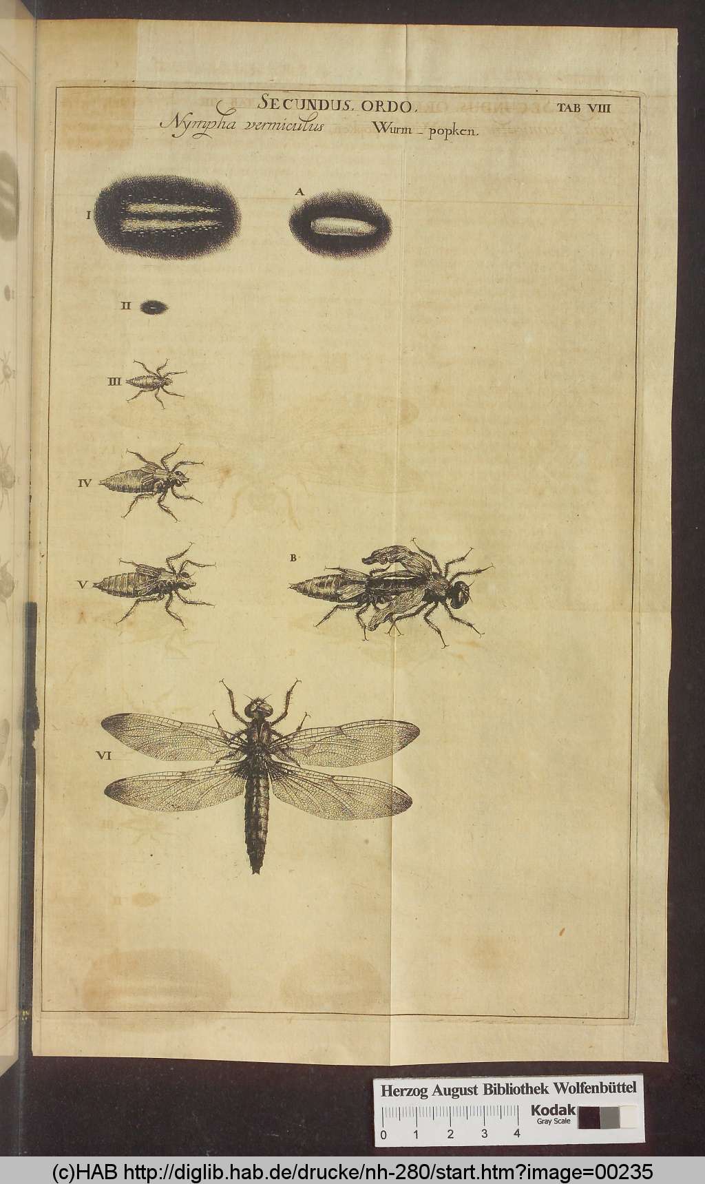 http://diglib.hab.de/drucke/nh-280/00235.jpg