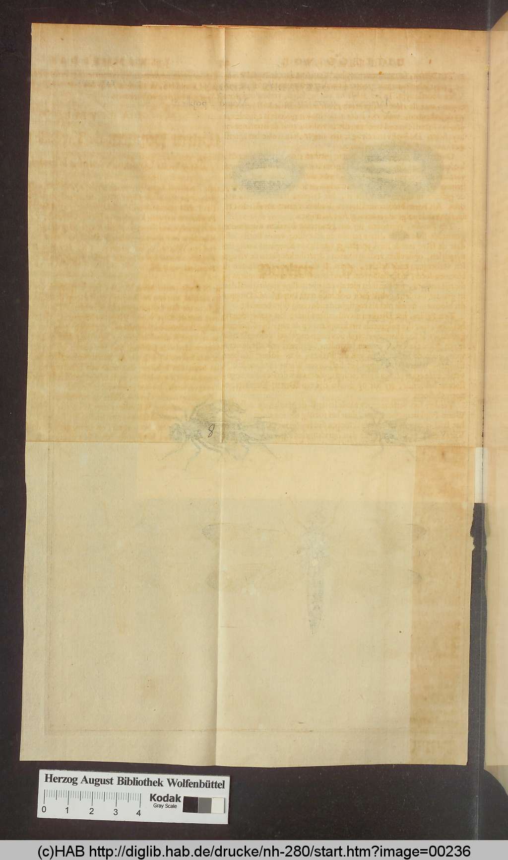 http://diglib.hab.de/drucke/nh-280/00236.jpg
