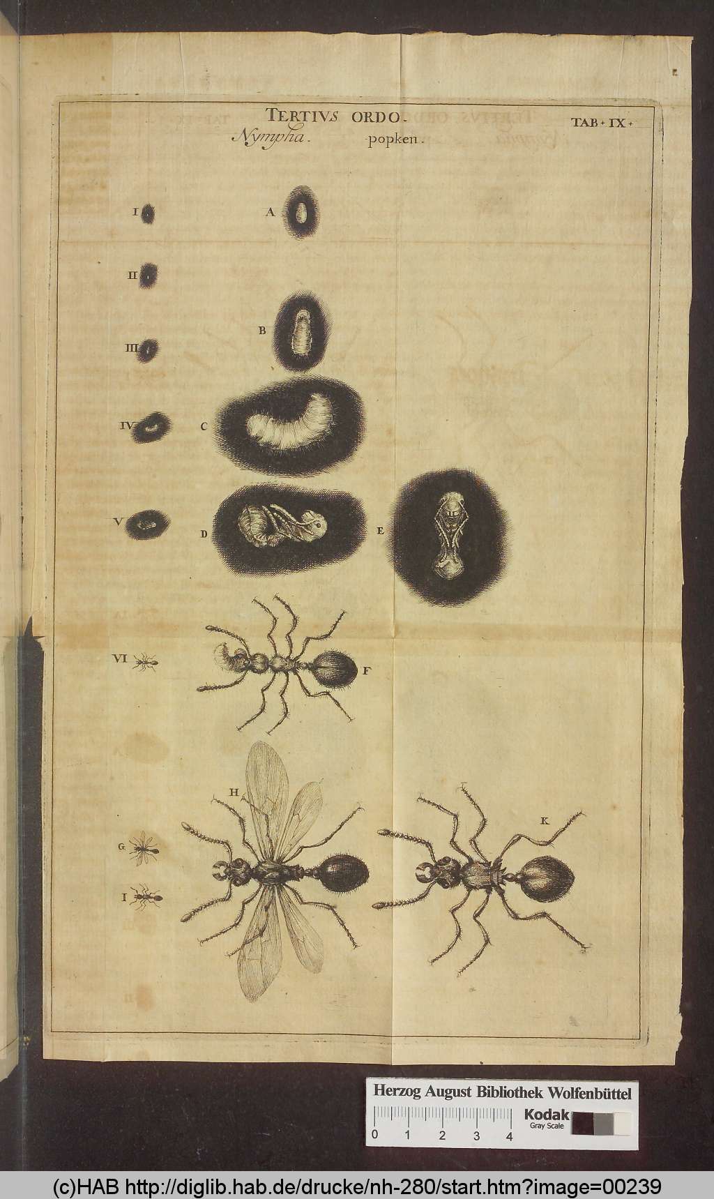 http://diglib.hab.de/drucke/nh-280/00239.jpg