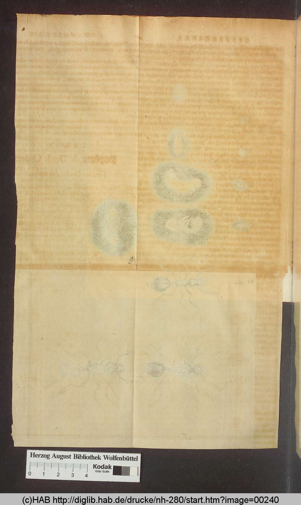 http://diglib.hab.de/drucke/nh-280/00240.jpg