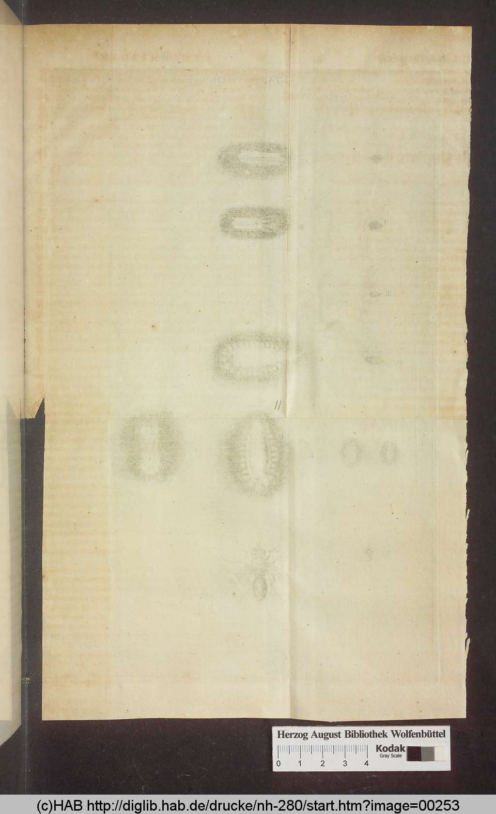 http://diglib.hab.de/drucke/nh-280/00253.jpg
