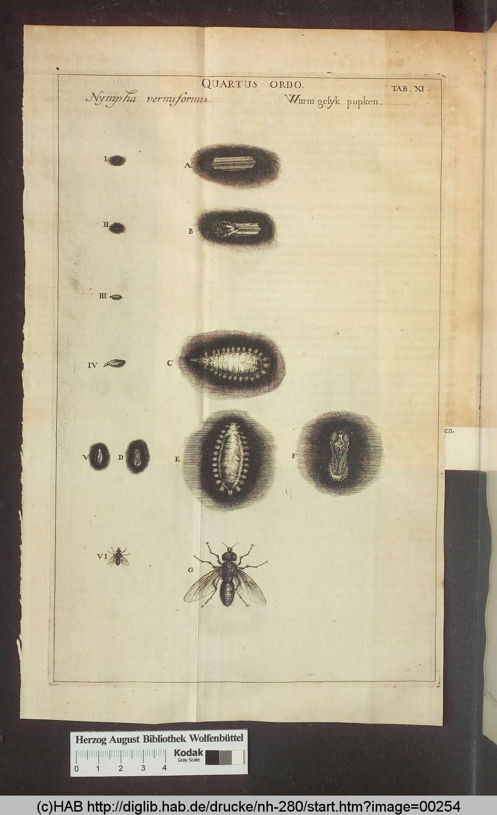 http://diglib.hab.de/drucke/nh-280/00254.jpg