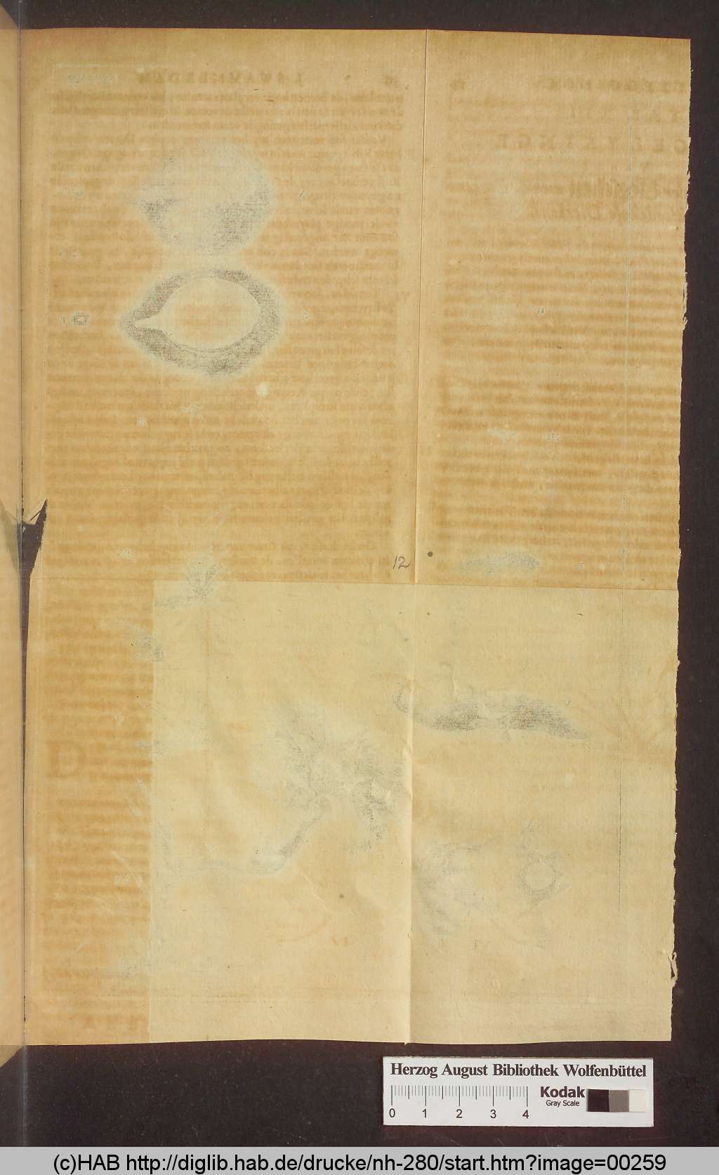 http://diglib.hab.de/drucke/nh-280/00259.jpg