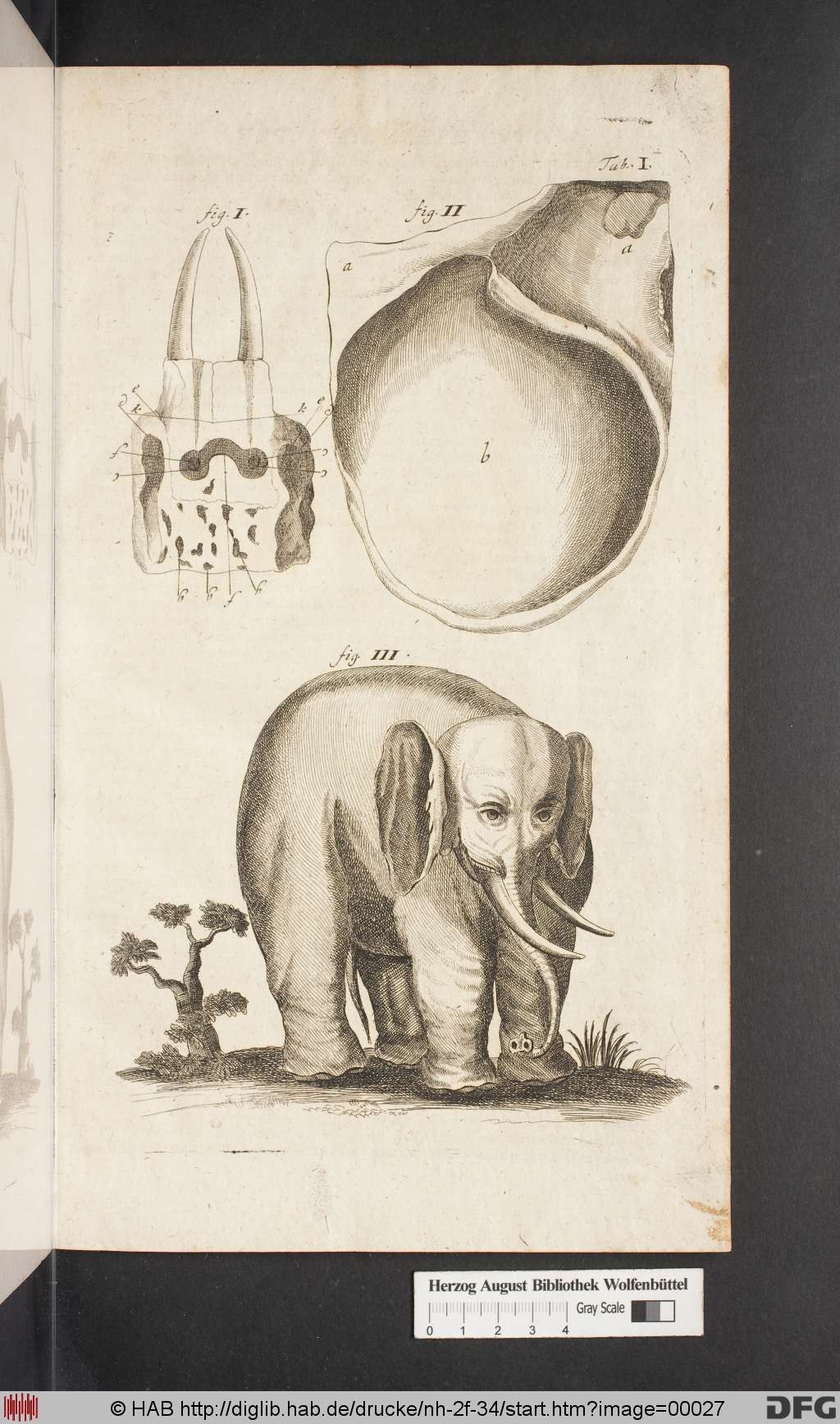 http://diglib.hab.de/drucke/nh-2f-34/00027.jpg