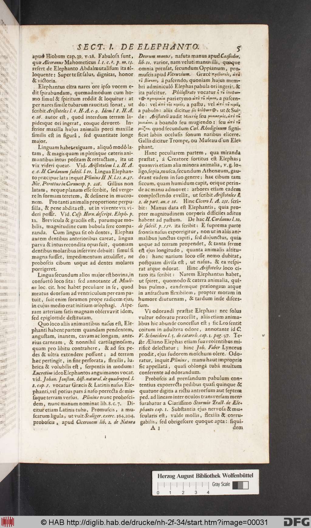 http://diglib.hab.de/drucke/nh-2f-34/00031.jpg
