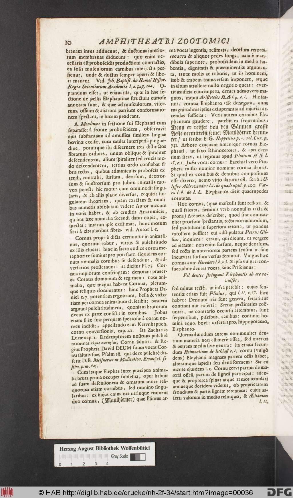 http://diglib.hab.de/drucke/nh-2f-34/00036.jpg