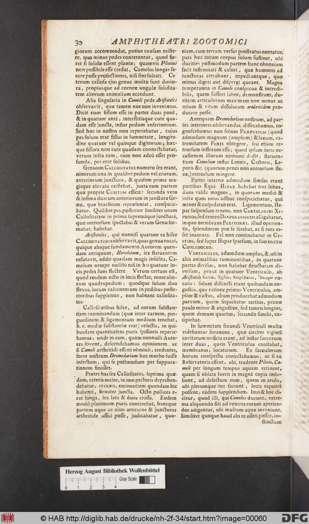 http://diglib.hab.de/drucke/nh-2f-34/00060.jpg