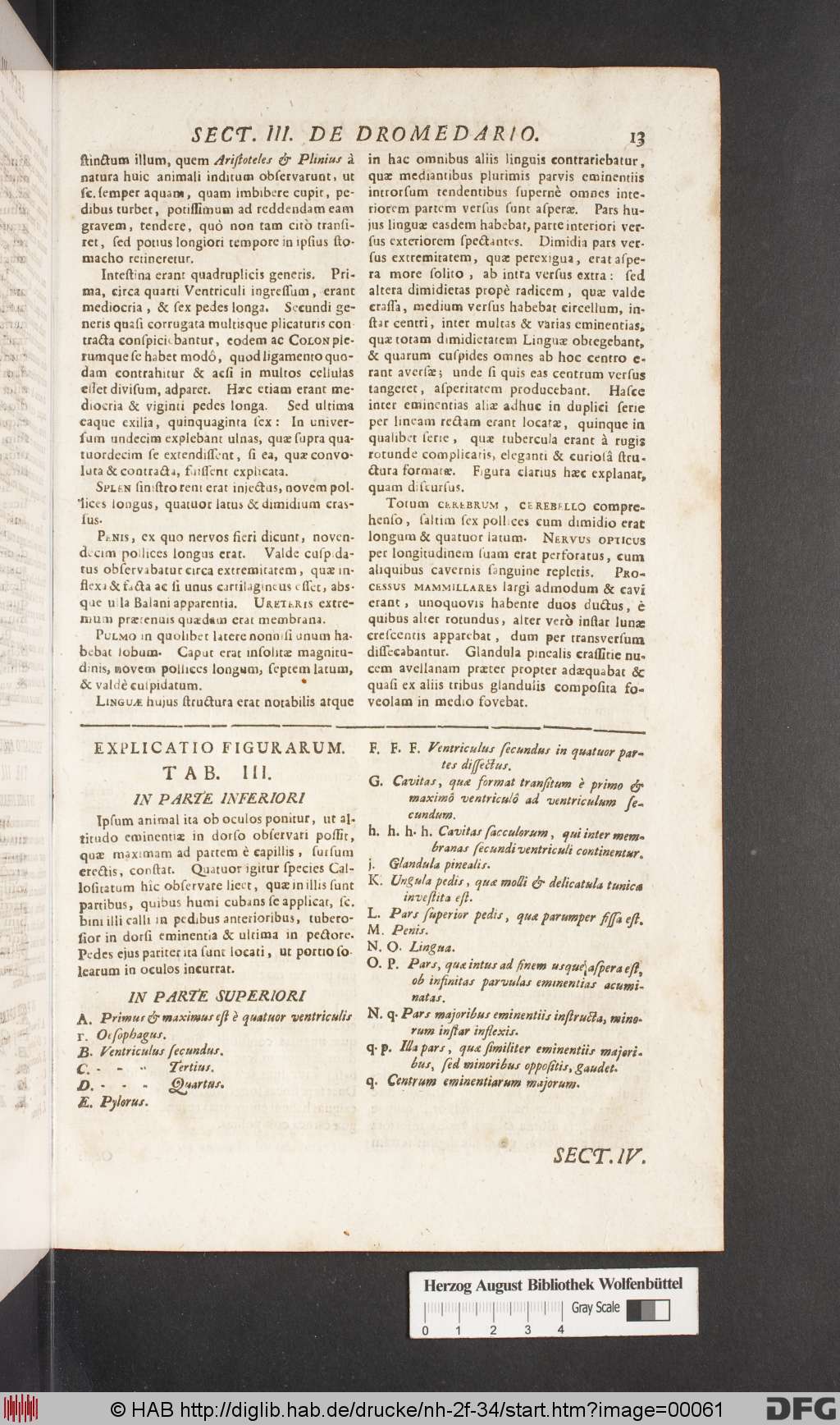 http://diglib.hab.de/drucke/nh-2f-34/00061.jpg