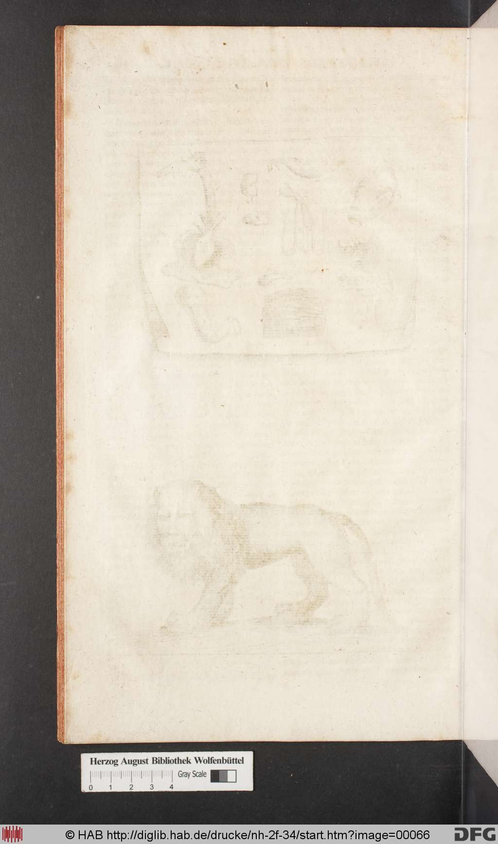 http://diglib.hab.de/drucke/nh-2f-34/00066.jpg
