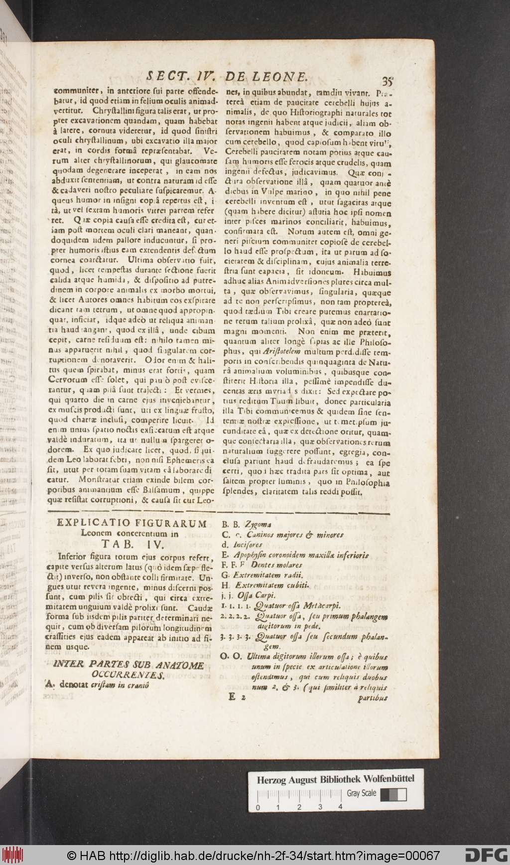 http://diglib.hab.de/drucke/nh-2f-34/00067.jpg