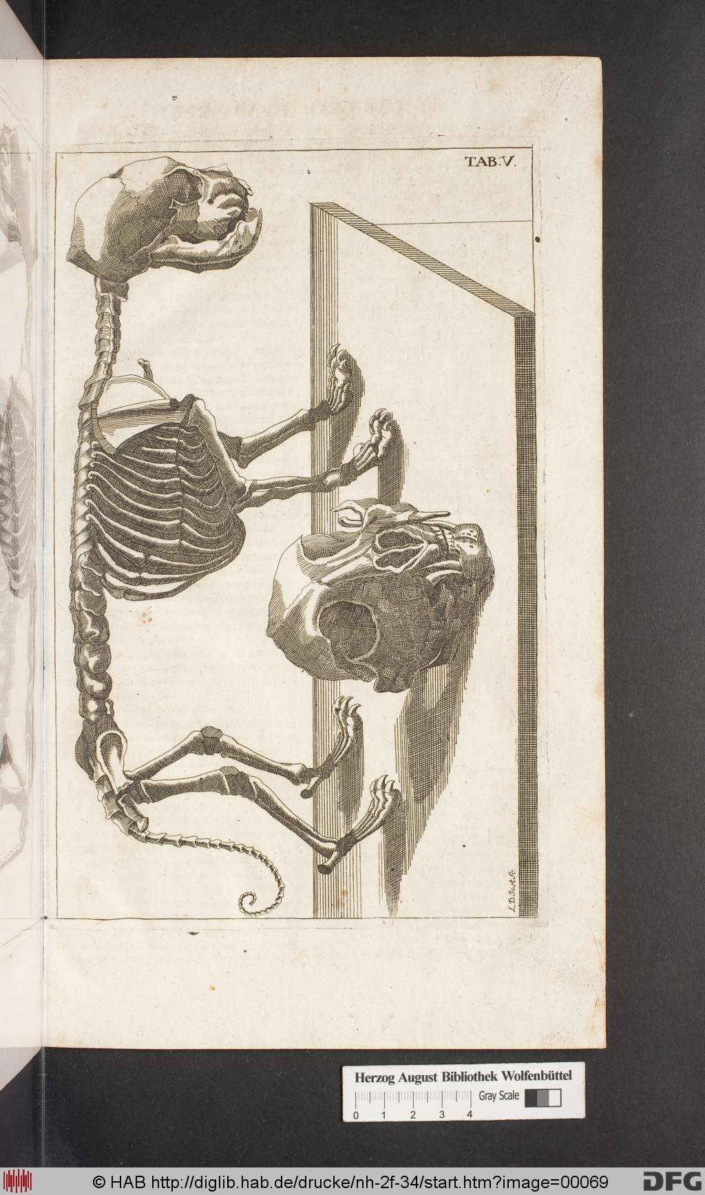 http://diglib.hab.de/drucke/nh-2f-34/00069.jpg