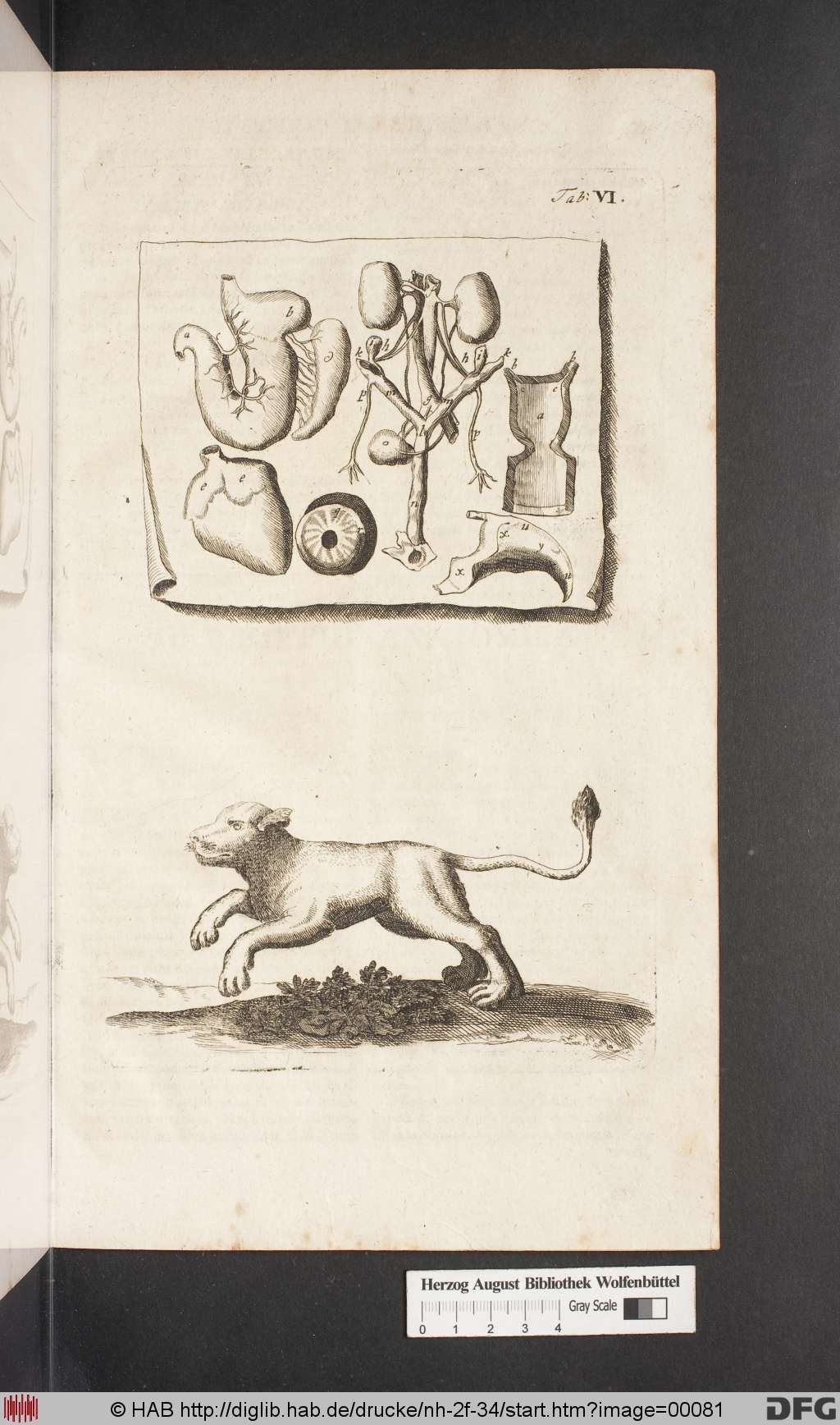http://diglib.hab.de/drucke/nh-2f-34/00081.jpg