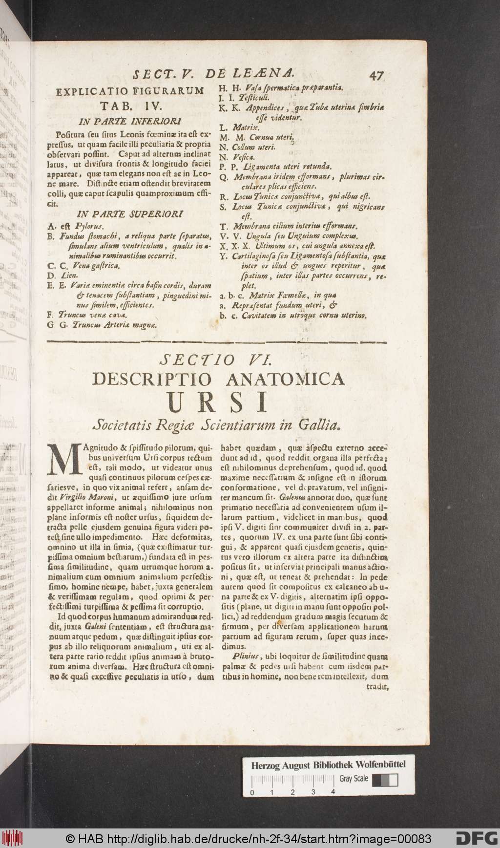 http://diglib.hab.de/drucke/nh-2f-34/00083.jpg