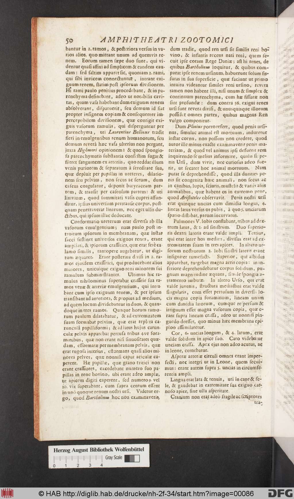 http://diglib.hab.de/drucke/nh-2f-34/00086.jpg