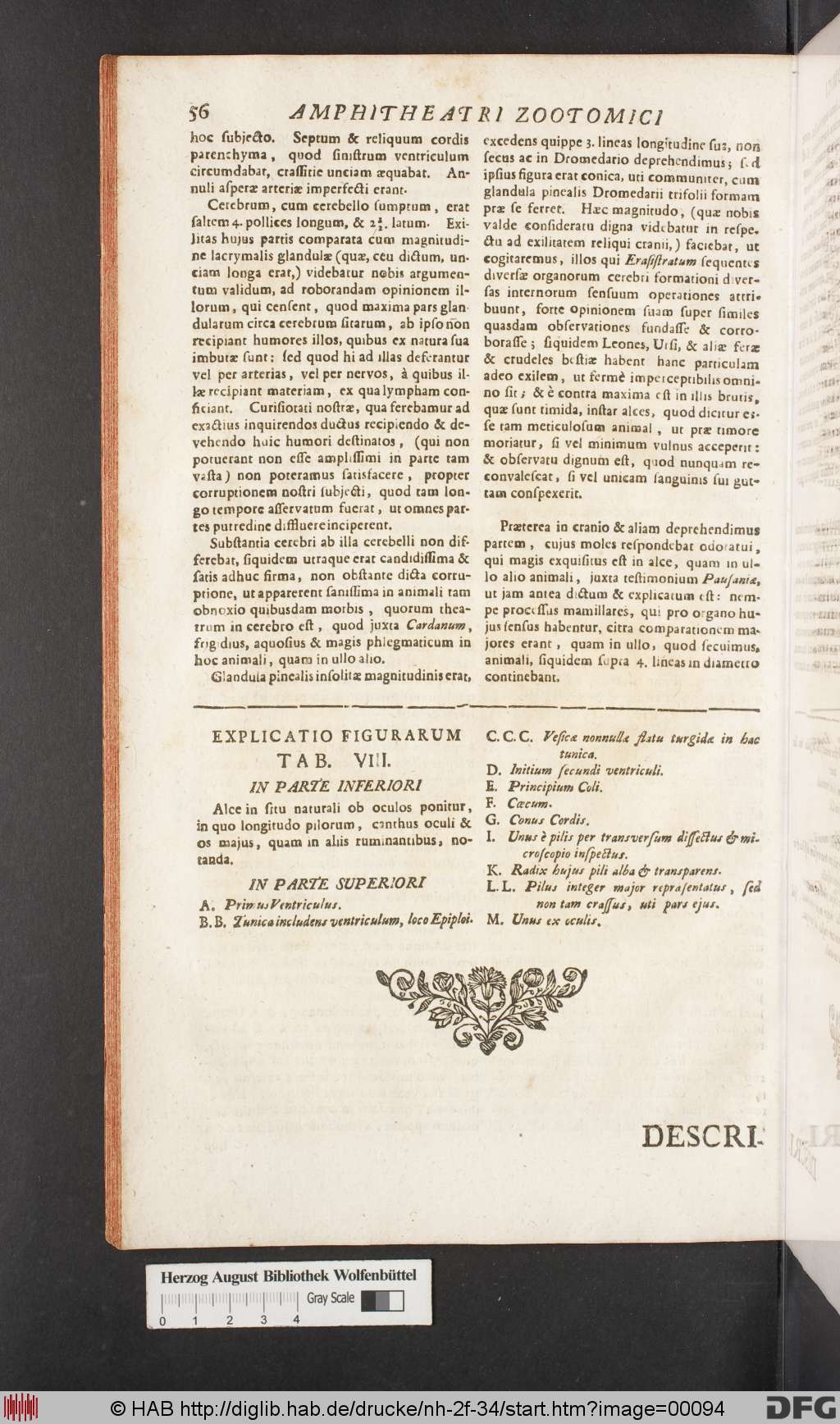 http://diglib.hab.de/drucke/nh-2f-34/00094.jpg