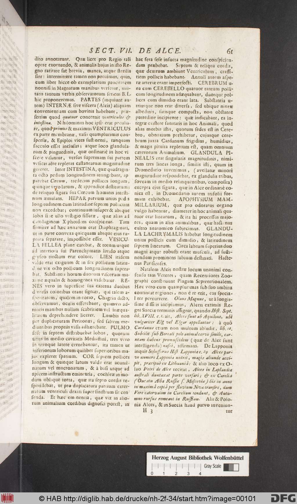 http://diglib.hab.de/drucke/nh-2f-34/00101.jpg