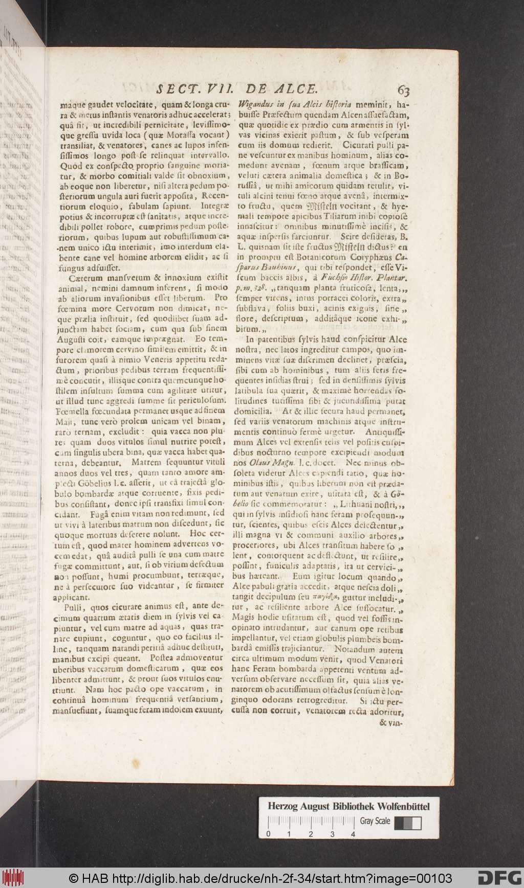 http://diglib.hab.de/drucke/nh-2f-34/00103.jpg
