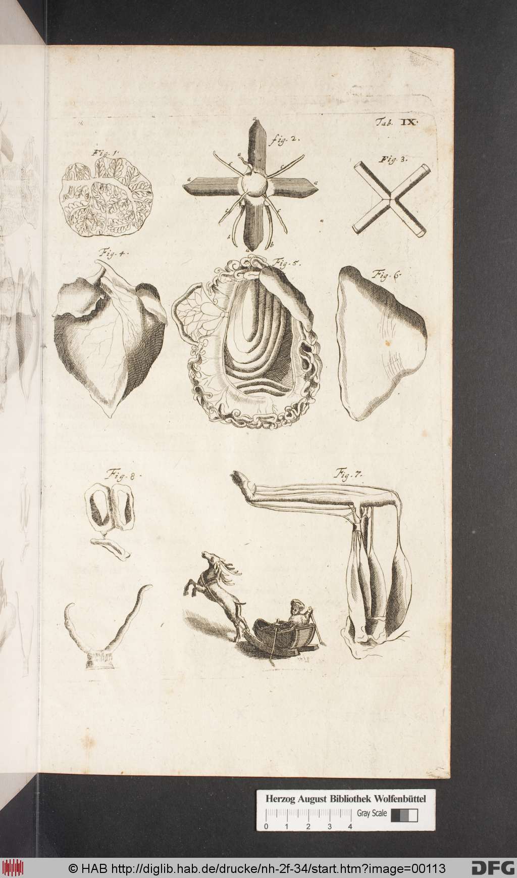 http://diglib.hab.de/drucke/nh-2f-34/00113.jpg