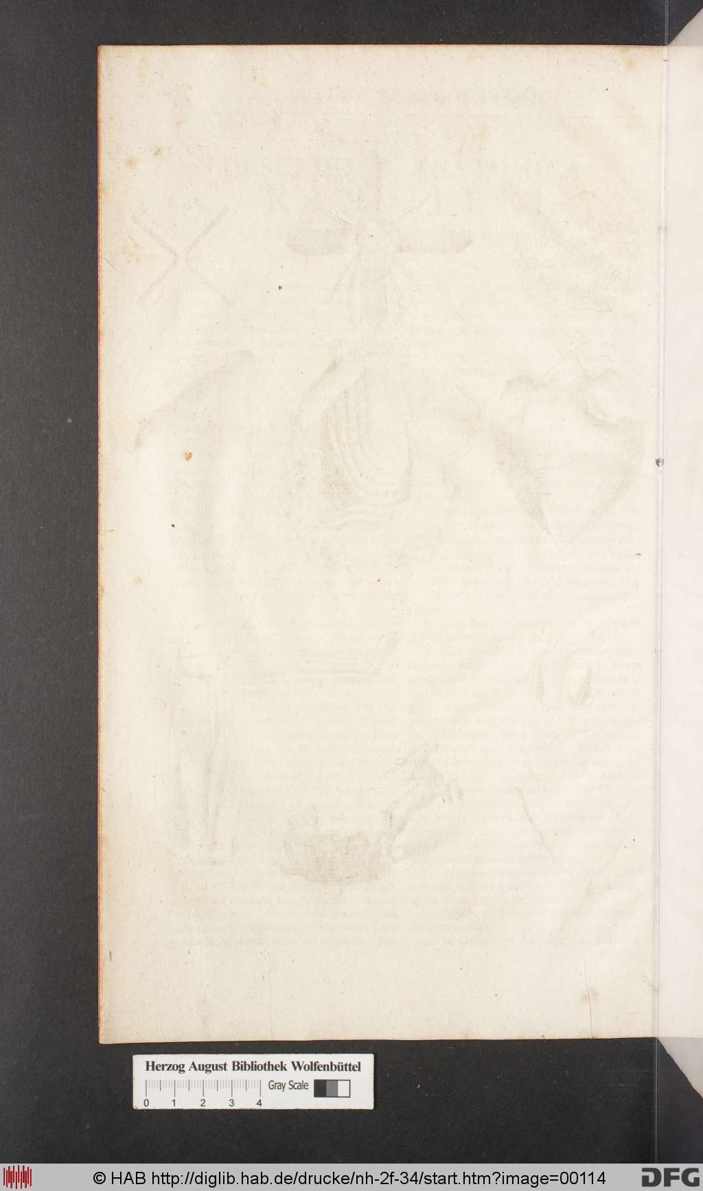 http://diglib.hab.de/drucke/nh-2f-34/00114.jpg