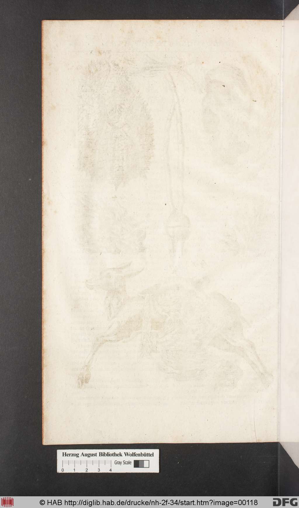 http://diglib.hab.de/drucke/nh-2f-34/00118.jpg