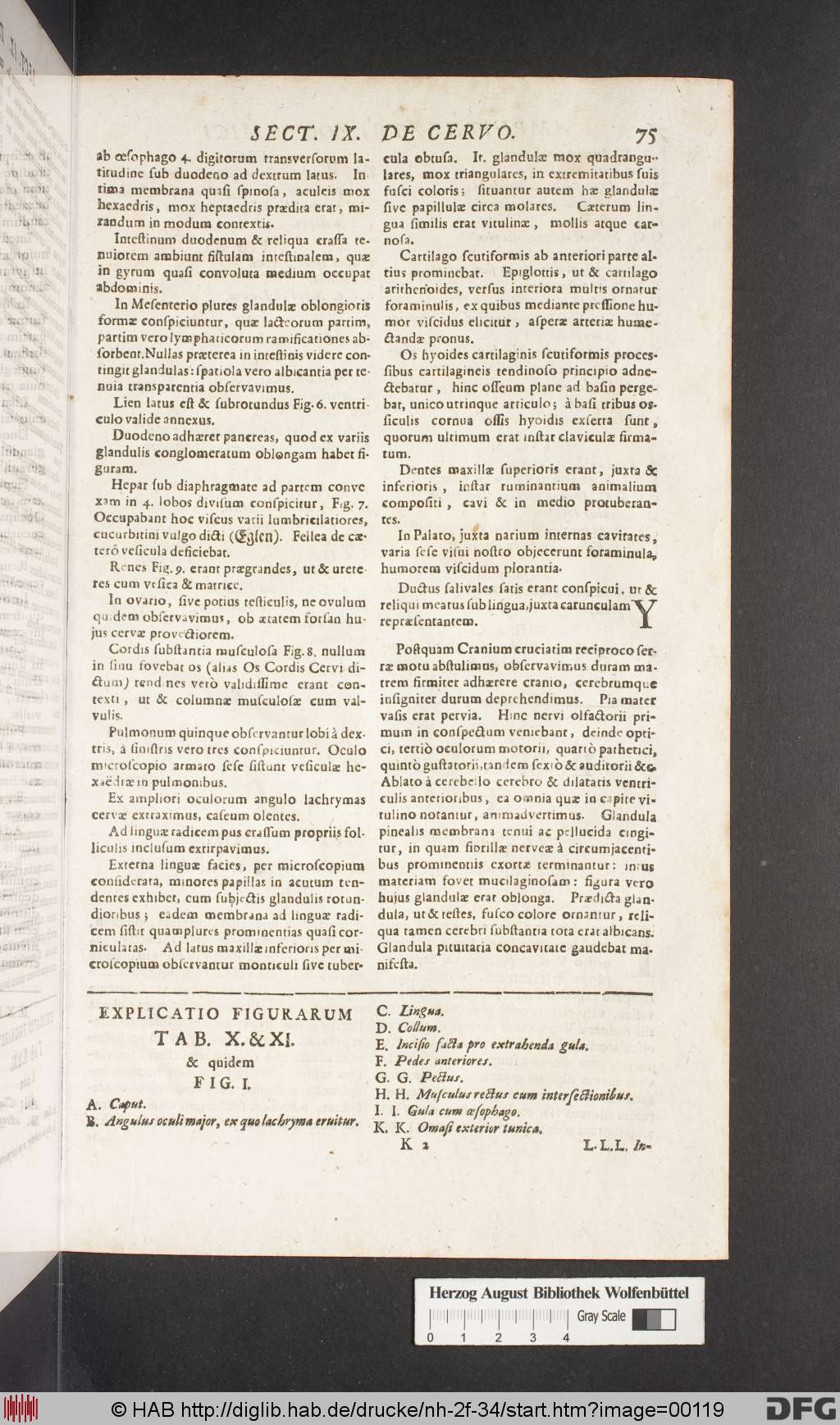 http://diglib.hab.de/drucke/nh-2f-34/00119.jpg
