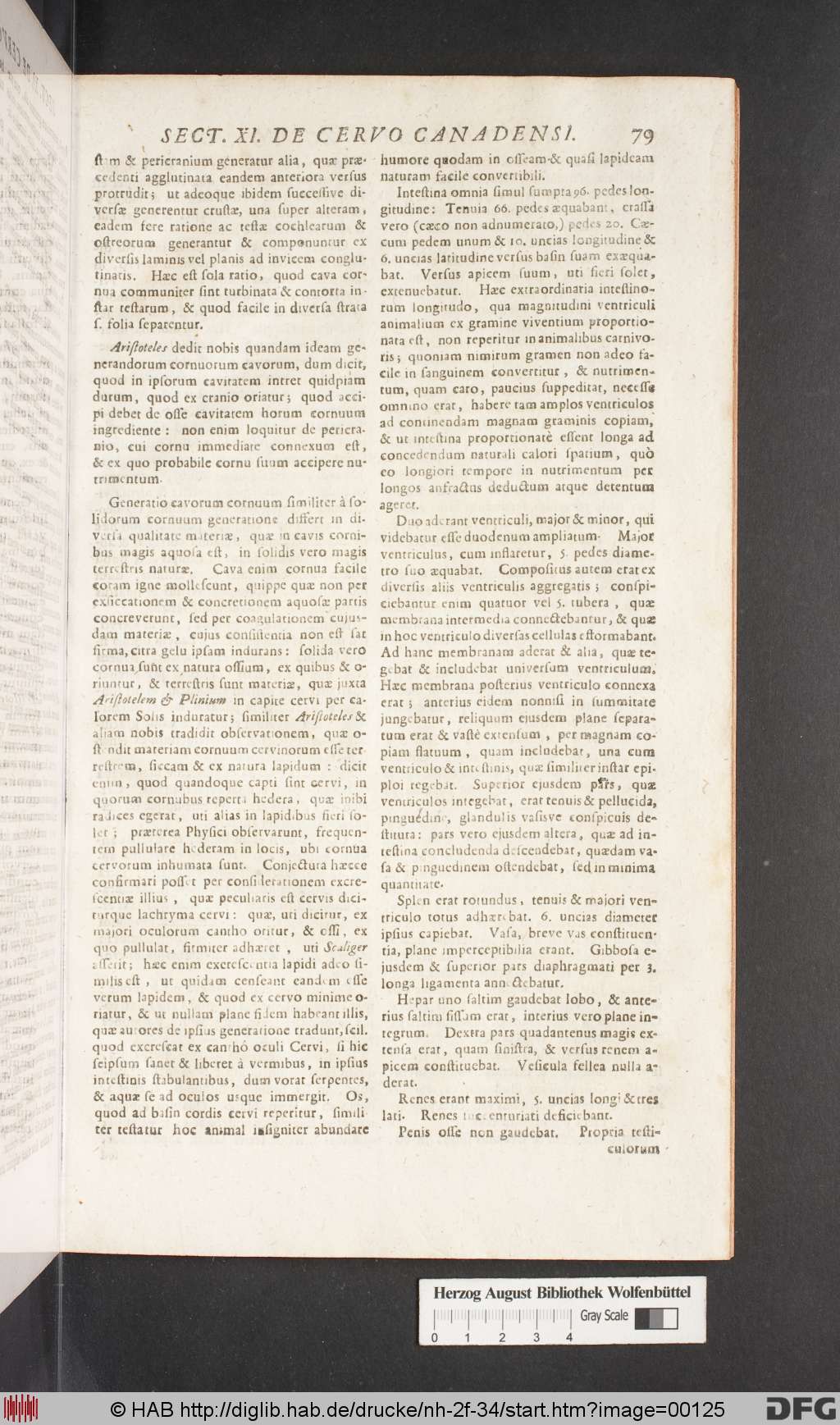 http://diglib.hab.de/drucke/nh-2f-34/00125.jpg