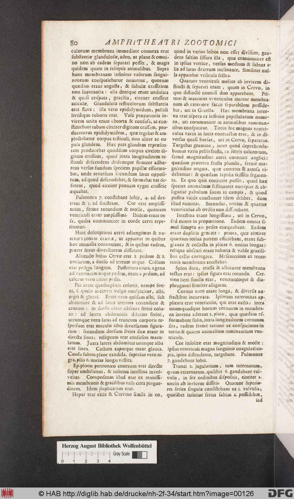 http://diglib.hab.de/drucke/nh-2f-34/00126.jpg