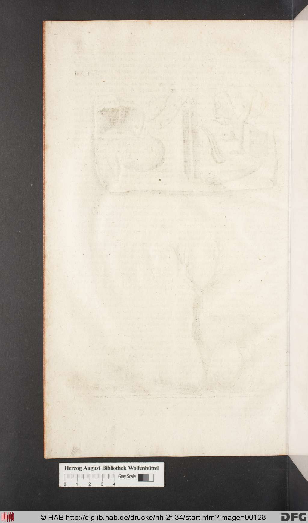http://diglib.hab.de/drucke/nh-2f-34/00128.jpg