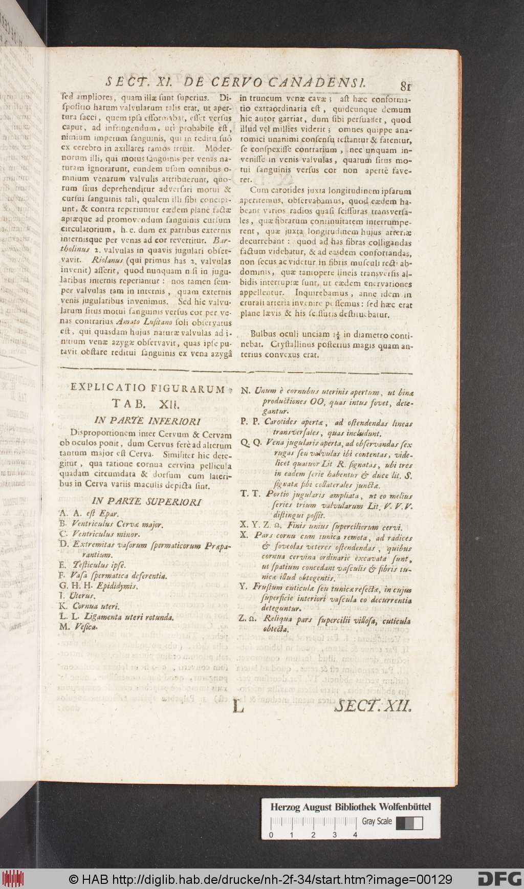http://diglib.hab.de/drucke/nh-2f-34/00129.jpg