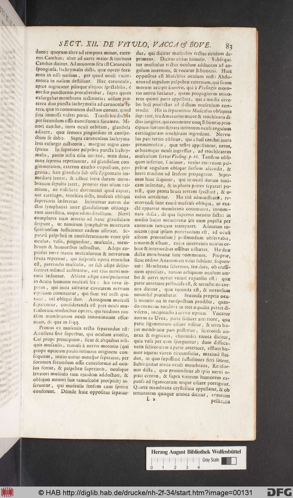 http://diglib.hab.de/drucke/nh-2f-34/00131.jpg