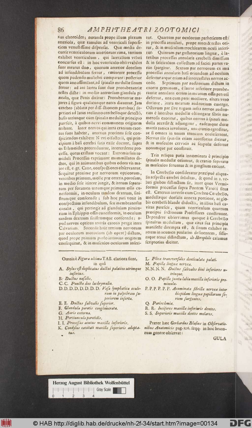 http://diglib.hab.de/drucke/nh-2f-34/00134.jpg